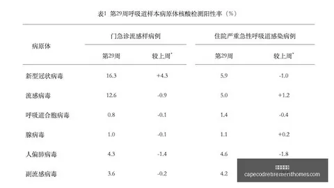 7楼高空坠落小学，葡京娱乐城登录，生意外砸中豪车，宝马车损毁严重